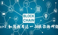 揭秘BitDork：如何利用这一工具你的网络安全实践