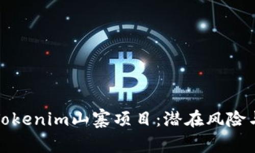 深度解析Tokenim山寨项目：潜在风险与投资机会