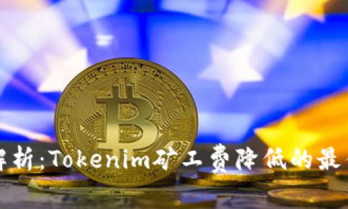 深入解析:Tokenim矿工费降低的最佳时机