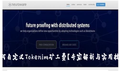 如何自定义Tokenim矿工费?专家解析与实用技巧