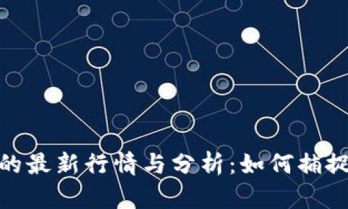 ok交易所的最新行情与分析：如何捕捉币市机遇