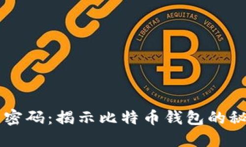 中本聪的密码：揭示比特币钱包的秘密与潜力