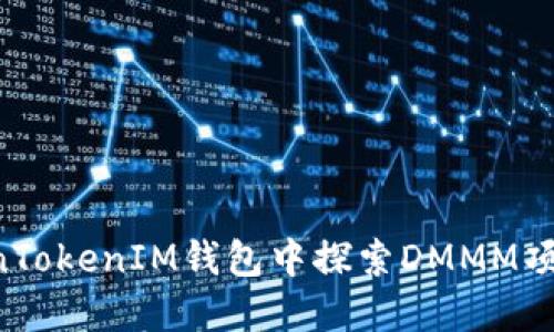 如何在TokenTokenIM钱包中探索DMMM项目:详尽指南