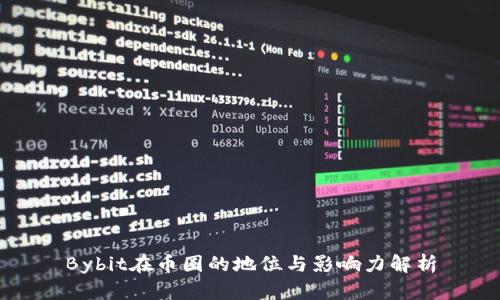 Bybit在币圈的地位与影响力解析