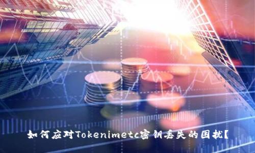 如何应对Tokenimetc密钥丢失的困扰？