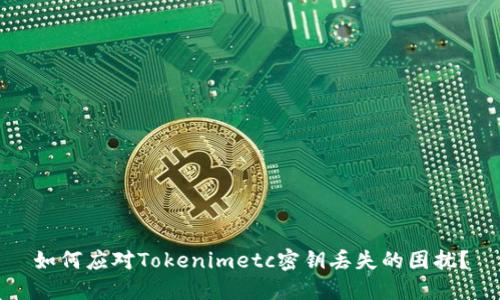 如何应对Tokenimetc密钥丢失的困扰？