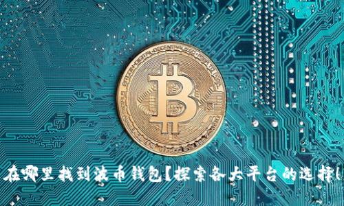 在哪里找到波币钱包？探索各大平台的选择！