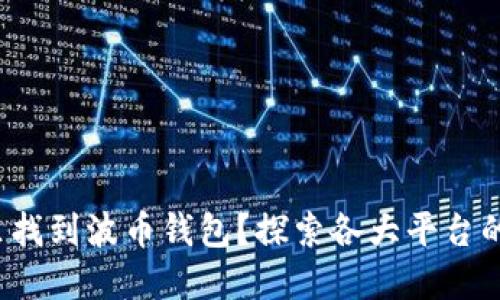 在哪里找到波币钱包？探索各大平台的选择！