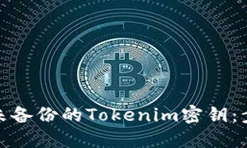 如何找回未备份的Tokenim密钥：步骤与建议