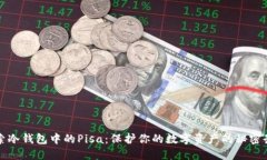 探索冷钱包中的Pisa：保护你的数字资产的秘密武