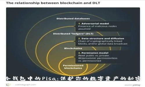 探索冷钱包中的Pisa:保护你的数字资产的秘密武器