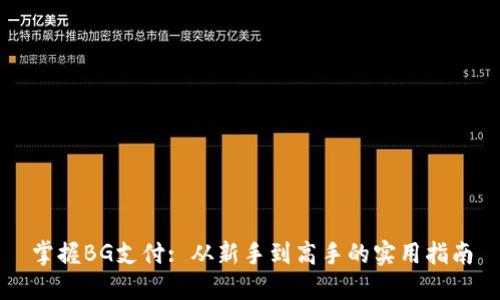 掌握BG支付: 从新手到高手的实用指南