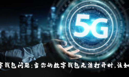 解决数字钱包问题：当你的数字钱包无法打开时，该如何应对？