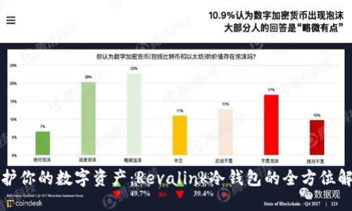 保护你的数字资产:Revalink冷钱包的全方位解读