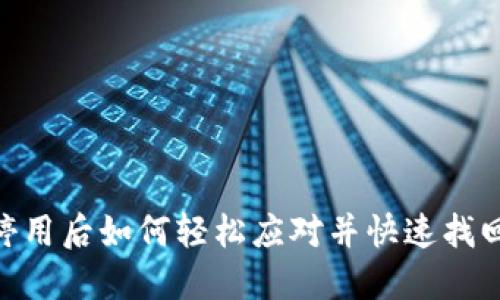 TokenIm停用后如何轻松应对并快速找回使用体验