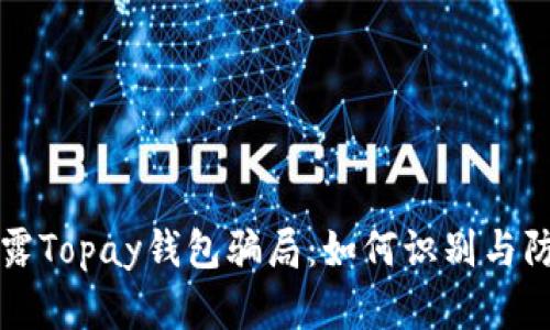 揭露Topay钱包骗局:如何识别与防范