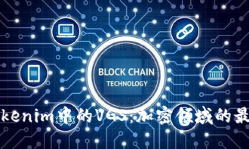 揭开Tokenim中的VGS：加密领域的最新亮点