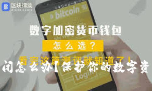 冷钱包网站倒闭怎么办?保护你的数字资产的关键措施