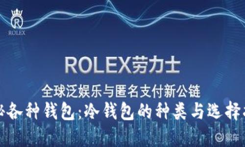 揭秘各种钱包:冷钱包的种类与选择指南
