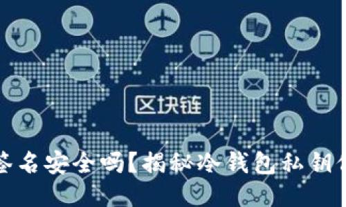 冷钱包签名安全吗?揭秘冷钱包私钥保护机制