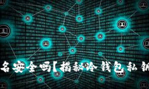 冷钱包签名安全吗?揭秘冷钱包私钥保护机制