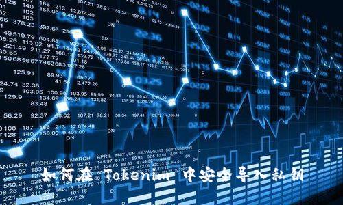 如何在 Tokenim 中安全导入私钥
