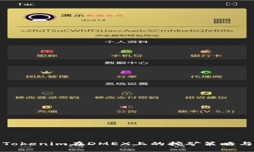 探索Tokenim在DMEX上的挖矿策略与技巧