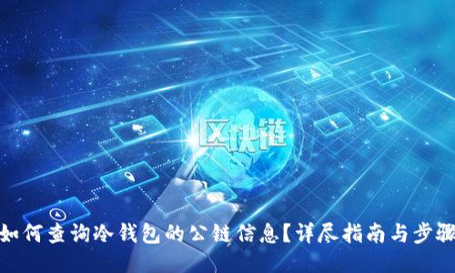 如何查询冷钱包的公链信息？详尽指南与步骤