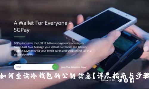 如何查询冷钱包的公链信息？详尽指南与步骤