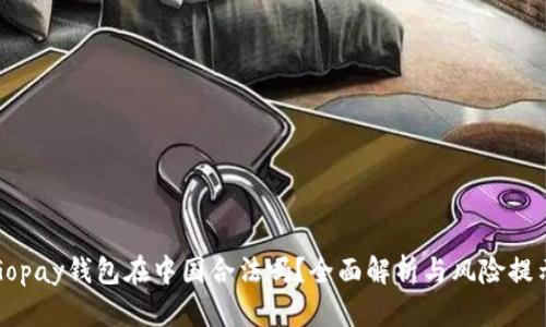 Gopay钱包在中国合法吗？全面解析与风险提示