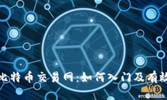 揭秘比特币交易网：如何入门及有效策略