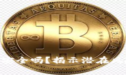 Tokenim平台安全吗？揭示潜在风险与防护方法