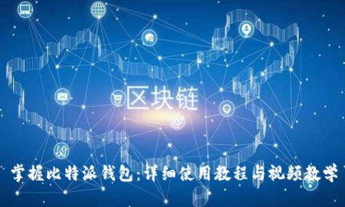 掌握比特派钱包：详细使用教程与视频教学