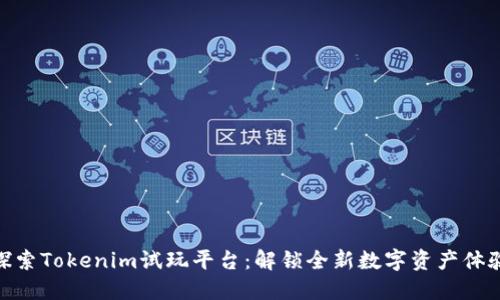 探索Tokenim试玩平台：解锁全新数字资产体验