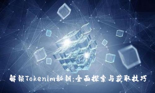 解锁Tokenim秘钥：全面探索与获取技巧