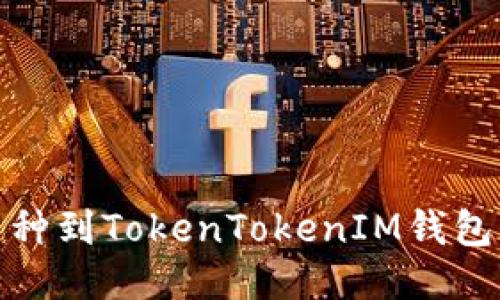 轻松添加币种到TokenTokenIM钱包的详细步骤