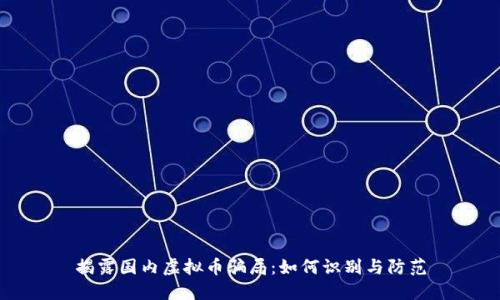 揭露国内虚拟币骗局:如何识别与防范