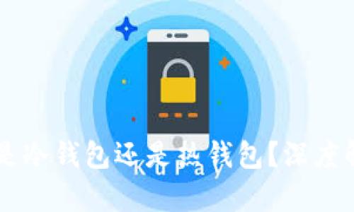 币信究竟是冷钱包还是热钱包？深度解析与对比