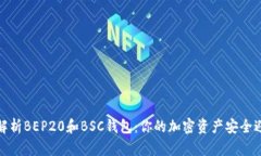 全面解析BEP20和BSC钱包：你的加密资产安全避风港