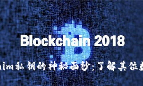 揭开Tokenim私钥的神秘面纱：了解其位数及安全性