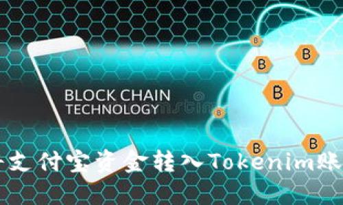 如何快速将支付宝资金转入Tokenim账户进行交易