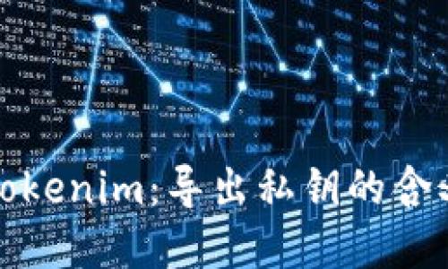 深入探讨Tokenim：导出私钥的含义与重要性