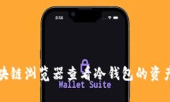 如何利用区块链浏览器查看冷钱包的资产和交易
