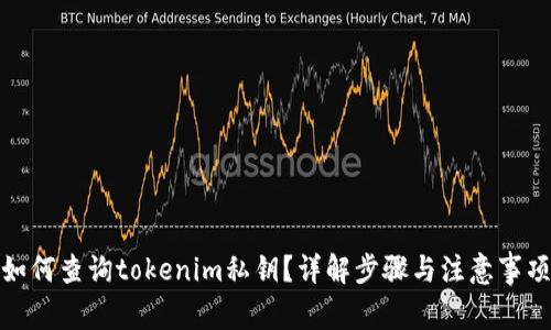 如何查询tokenim私钥?详解步骤与注意事项