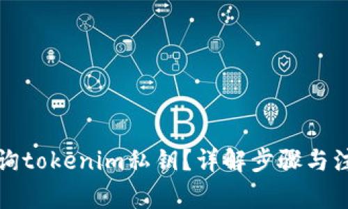 如何查询tokenim私钥?详解步骤与注意事项