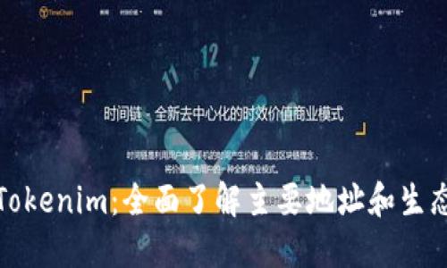 探索Tokenim:全面了解主要地址和生态系统