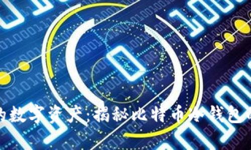 安全存储你的数字资产:揭秘比特币冷钱包的使用与管理