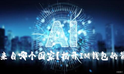 IM钱包来自哪个国家?揭开IM钱包的背后故事