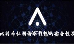 深入探讨比特币私钥与冷钱包的安全性及使用方