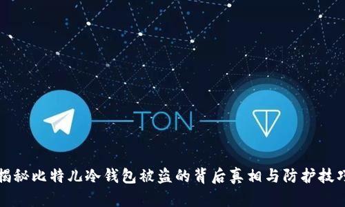 揭秘比特儿冷钱包被盗的背后真相与防护技巧